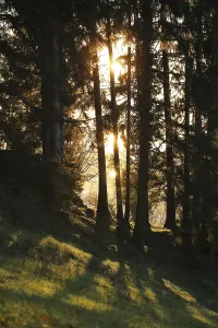 Sunset Atmosphere In Europe Drucke: Sunset