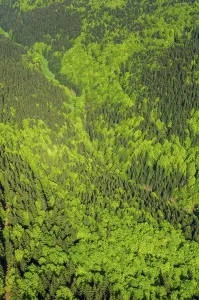 Germany Aerial View Drucke: Thuringia, Germany, Thuringian Forest