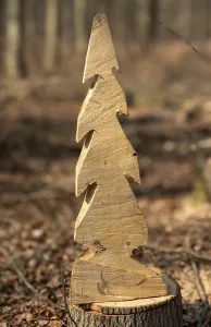 Northern Germany Forest Scene Drucke: A tree disc in the shape of a fir tree sawed out with a chainsaw stands on a tree stump in Oderwald