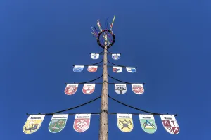 Coat Of Arms Germany Drucke: Guild tree, guild tree, guild sign
