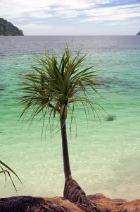 Andaman Sea Islands Drucke: Ko Yang is a tiny