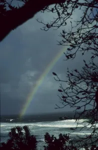 Deserted Rainbow Landscape Drucke: Rainbow