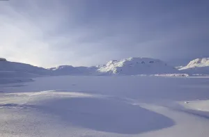 No People In The Snow Drucke: White hell