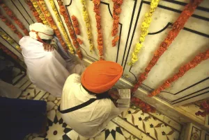 Traditional Sikh Attire Drucke: Sikh devotee reading holy scriptures