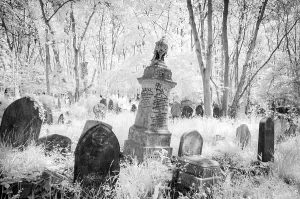 Geistergräber im Highgate-Friedhof in London in Schwarz-Weiß.