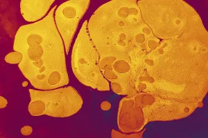 Traditional Marbling Technique Drucke: Abstract creative marble pattern texture