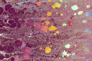 Ebru Marbling Artwork Drucke: Abstract creative marble pattern texture