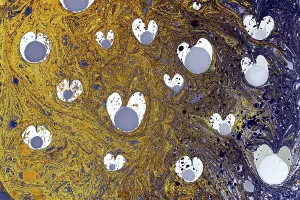 Traditional Ebru Marbling Drucke: Abstract creative marble pattern texture
