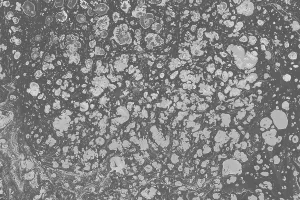 Deserted Landscape Illustrations Drucke: Abstract creative marble pattern texture