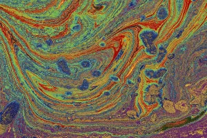 Traditional Ebru Art Drucke: Abstract creative marble pattern texture