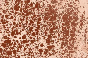 Abstrakte kreative Marmor-Muster-Textur.