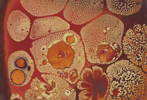 Traditional Ebru Art Drucke: Abstract creative marble pattern texture