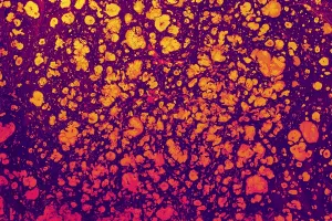 Traditional Ebru Art Drucke: Abstract creative marble pattern texture