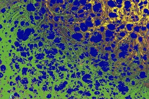 Ebru Marble Effect Design Drucke: Ebru marble effect surface pattern design for print