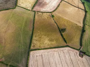 British Countryside From Above Drucke: Top Down over Fields from a drone