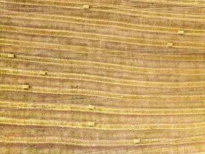 Farmland Landscape UK Drucke: Top Down over Fields from a drone