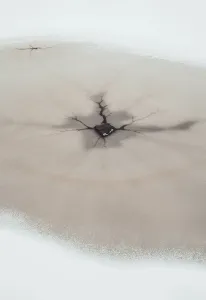 Deserted Icy Landscape Drucke: Frozen surface with cracks forms a natural pattern