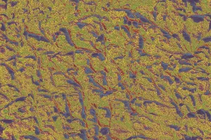 Empty Uninhabited Space Drucke: Wall surface as a simple background texture pattern