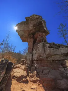 Palatinate Forest Landscape Photography Drucke: Devil's table in backlight