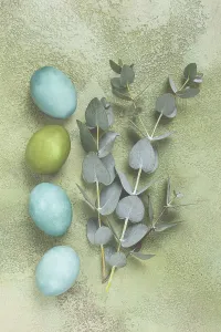 Zusammensetzung farbiger Eier und Eukalyptusblätter.