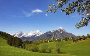 Deciduous Trees In Spring Drucke: Flowering fruit tree, Vorderstoder