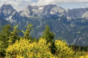 Hiking Trails In Europe Drucke: Mountain world in Hinterstoder