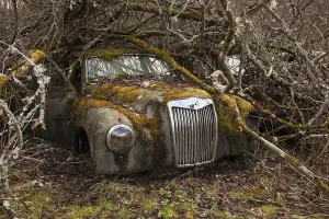 Kategorie Oldtimer Drucke: Alte Fahrzeuge, Frontansicht mit Kühlergrill.