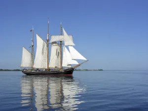 Cloudy Skies Photography Drucke: Albatross 2