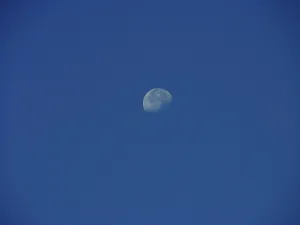 Astronomy Photography Drucke: Half Moon