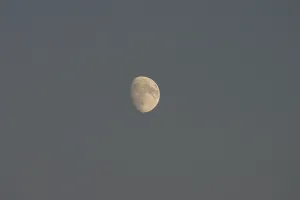 German Democratic Republic History Image Drucke: Our moon
