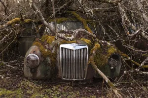 Abandoned Passenger Cars Drucke: Oldtimer, Front View with grill
