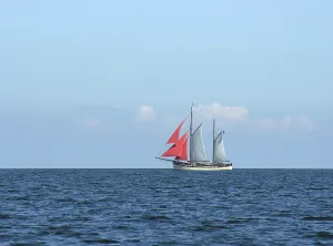 Historic Sailing Vessel Drucke: Sailor