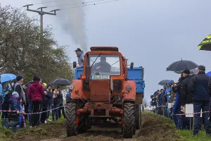 Classic Car Show Drucke: Tractor Pulling