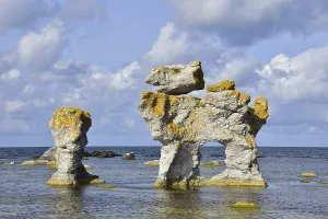Gotland Island Landscape Drucke: Category Pets