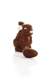 Studio Shot Of Rabbit Drucke: Chocolate easter bunny with easter egg