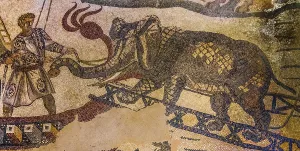 Trunked Nosed Mammal Feed Drucke: Loading of an elephant on ship