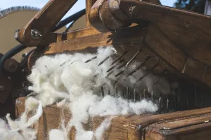 Manual Labor Drucke: Manual processing of wool
