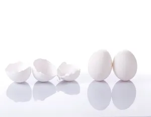 Food Photography Meal Drucke: Group of eggshells and eggs with reflection on white background