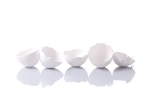 Studio Shot Of Eggs Drucke: Isolated eggshells with reflection on white background