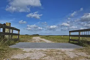 Wildlife Conservation Area Drucke: Cattle grid in ground