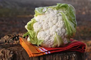 Cauliflower Nutrition Drucke: Cauliflower
