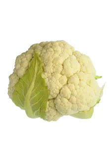 White Background Vegetable Drucke: Cauliflower, studio shot against white background