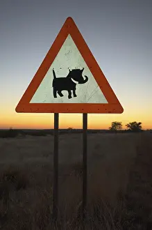 Drucke von Vorsichtschild mit Warnung vor Kriegspfauen, Windhoek, Namibia, Afrika Warzenschwein Drucke: Kriegsschweine vorsichtig beachten.