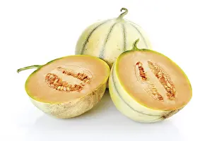 Indoor Plant Photography Drucke: Cavaillon melons