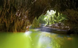 Glühwürmchen Drucke: Austritt aus den Waitomo Glowworm Höhlen