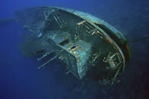 Underwater World Sport Drucke: Cedar Pride wreck sunk for divers