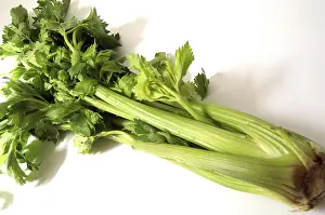 Leafy Greens Food Drucke: Celeriac