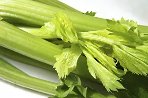 Leafy Greens Food Drucke: Celeriac
