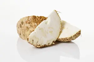 Botany Images Drucke: Celery (Apium), tuber cut