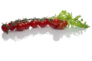 Studio Shot Vegetables Drucke: Celery and tomato with reflection on white background